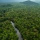 Джунгли Амазонки Колумбия